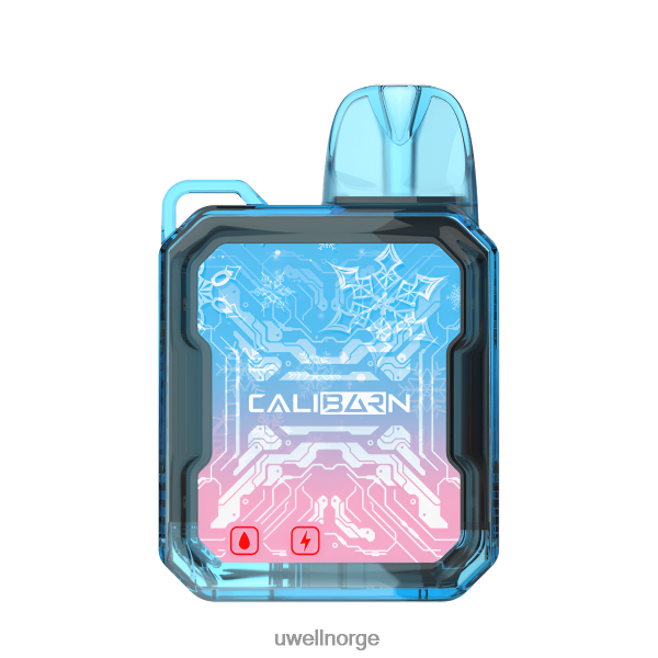 UWELL Flavors - UWELL CALIBURN bar b6000 engangsvape D6204Z280 dragefruktbær