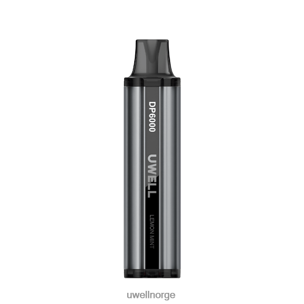 UWELL Flavors - UWELL DP6000 engangs vape D6204Z330 blåbær granateple