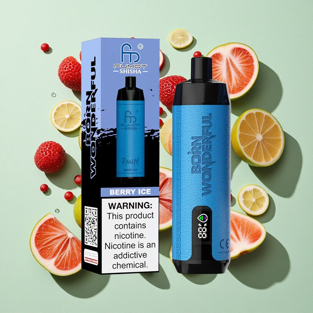 RandM Fumot Shisha 10000 Puffs Bær Is engros Norge LED-Indikator Type-C Port