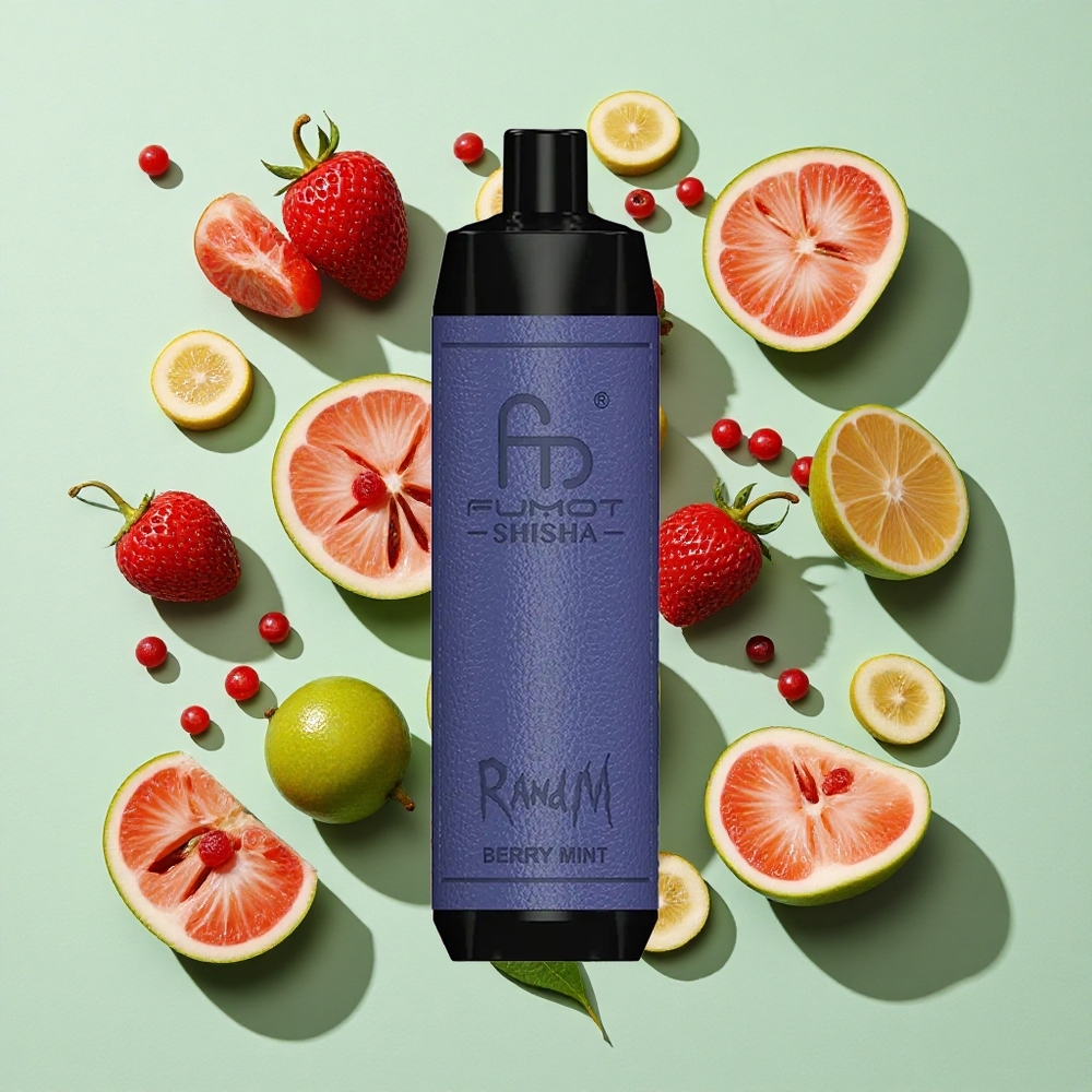 RandM Fumot Shisha 10000 Puffs Bær Mynte Engangs Vape engros Norge LED Indikator Type-C Port