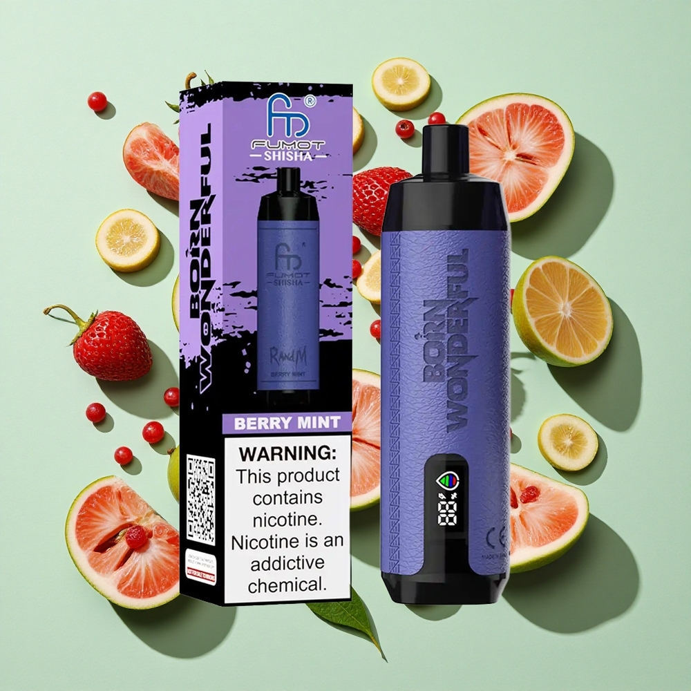 RandM Fumot Shisha 10000 Puffs Bær Mynte Engangs Vape engros Norge LED Indikator Type-C Port