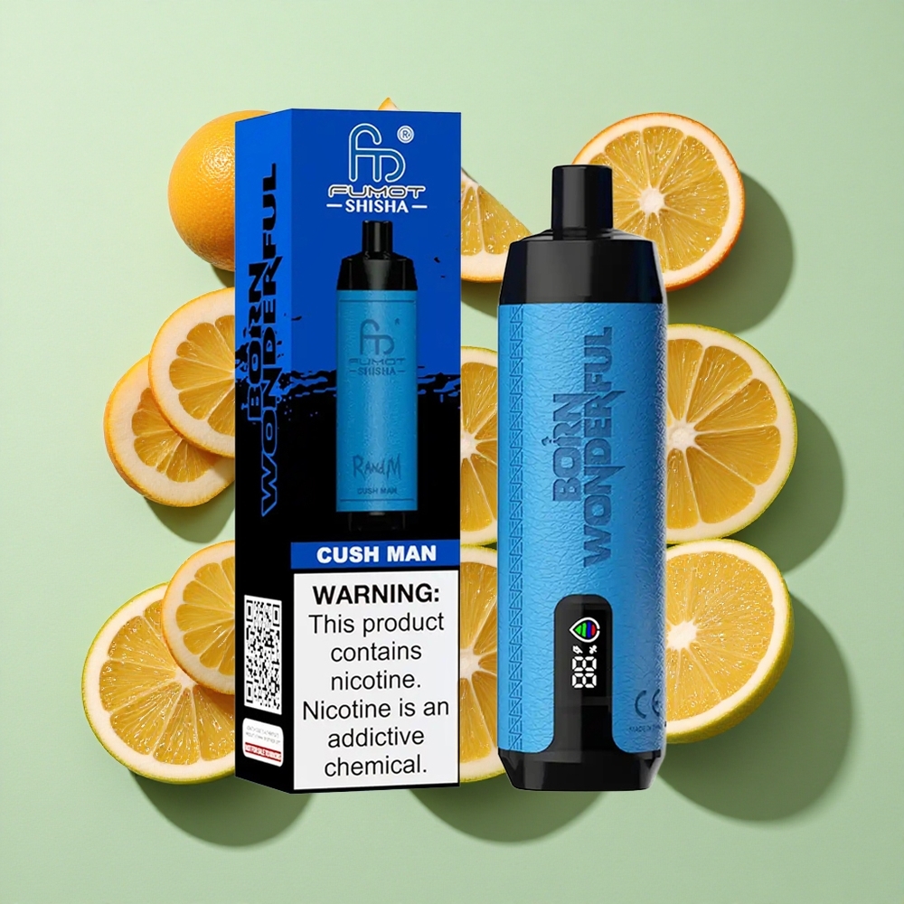 RandM Fumot Shisha 10000 Puffs Cush Man Mynt Norge engros Norge LED-Indikator Type-C Port