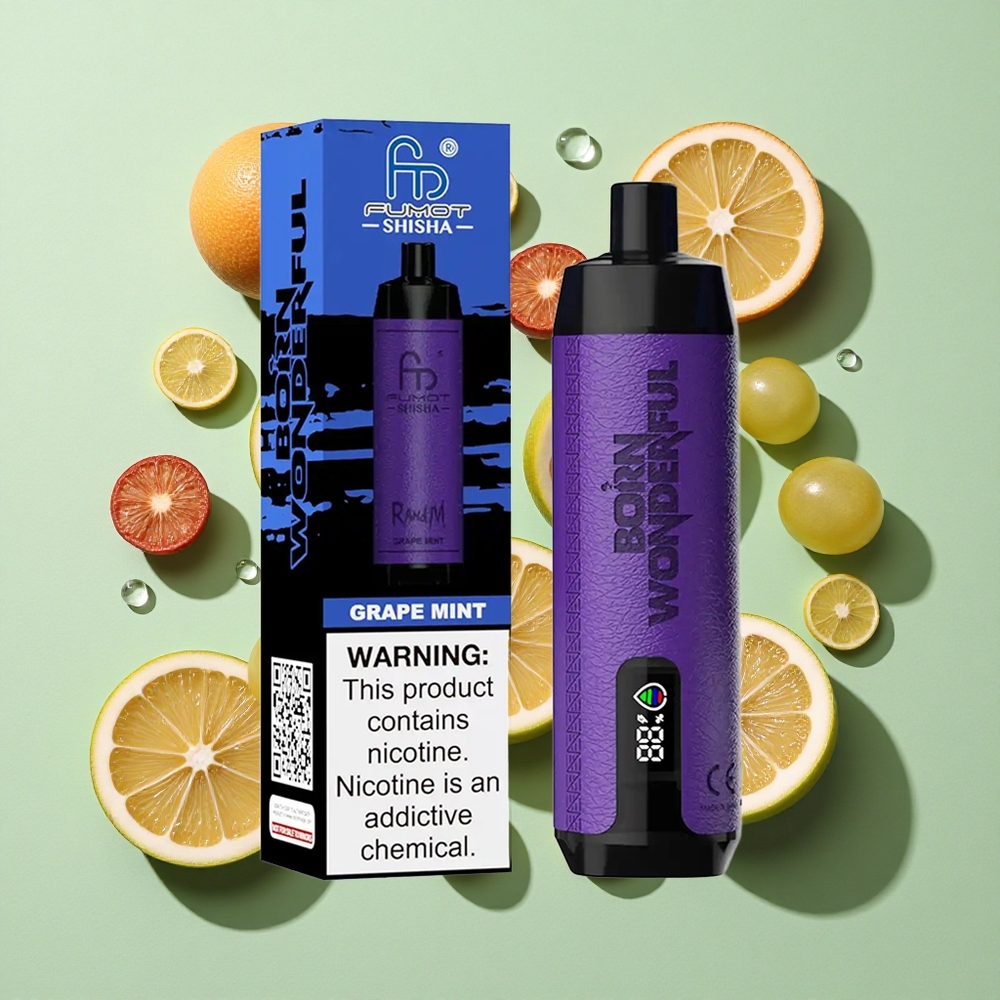 RandM Fumot Shisha 10000 Puffs Druemynt Engros Norge LED-Indikator Type-C Port