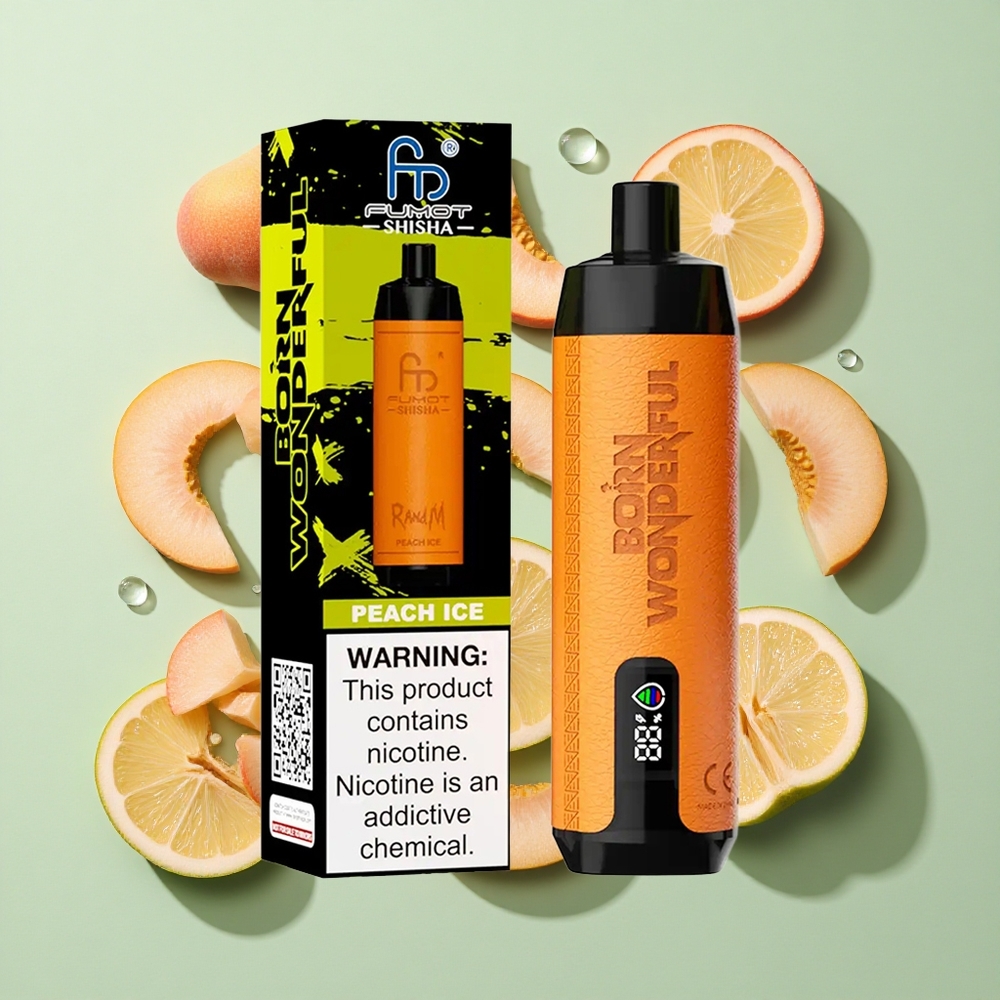 RandM Fumot Shisha 10000 Puffs Fersken Is engros Norge LED Indikator Type-C Port