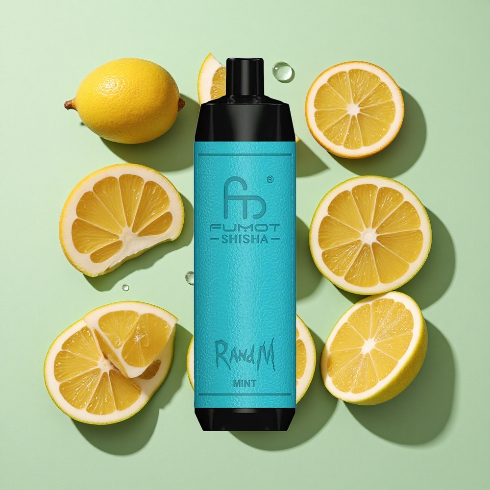 RandM Fumot Shisha 10000 Puffs Mynte Engros Norge 18ml Fylt E-væske Type-C Port