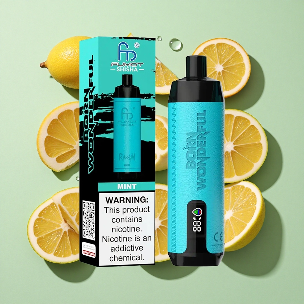 RandM Fumot Shisha 10000 Puffs Mynte Engros Norge 18ml Fylt E-væske Type-C Port