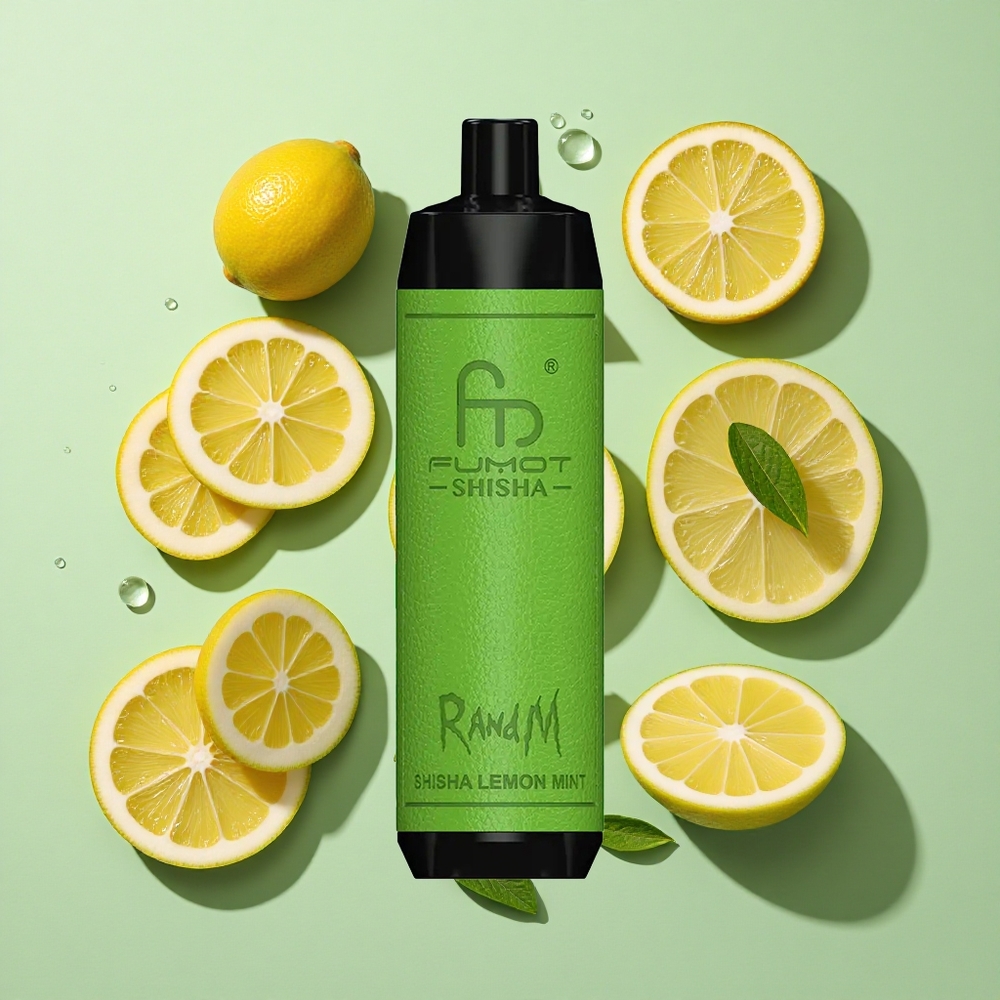 RandM Fumot Shisha 10000 Puffs Sitron Mynte Engangs Vape 18ml Engros Norge Type-C Port