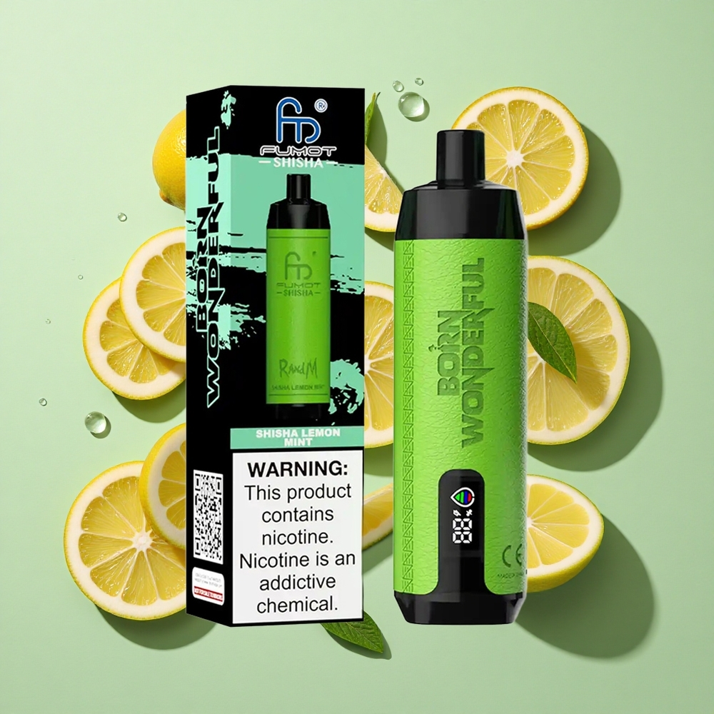 RandM Fumot Shisha 10000 Puffs Sitron Mynte Engangs Vape 18ml Engros Norge Type-C Port