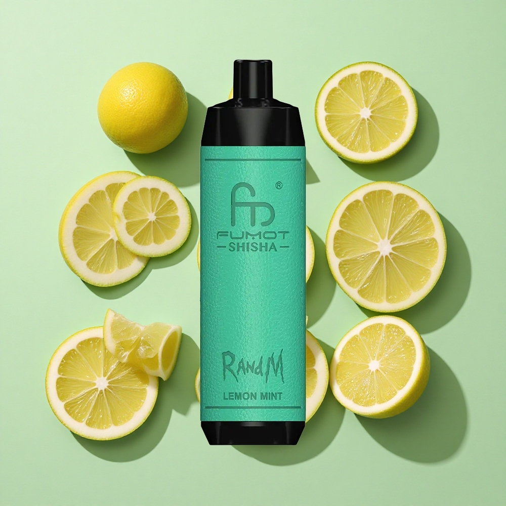RandM Fumot Shisha 10000 Puffs Sitron Mynte Engangs Vape engros Norge Type-C Port 850 mAh Batteri