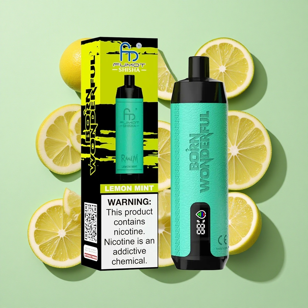 RandM Fumot Shisha 10000 Puffs Sitron Mynte Engangs Vape engros Norge Type-C Port 850 mAh Batteri