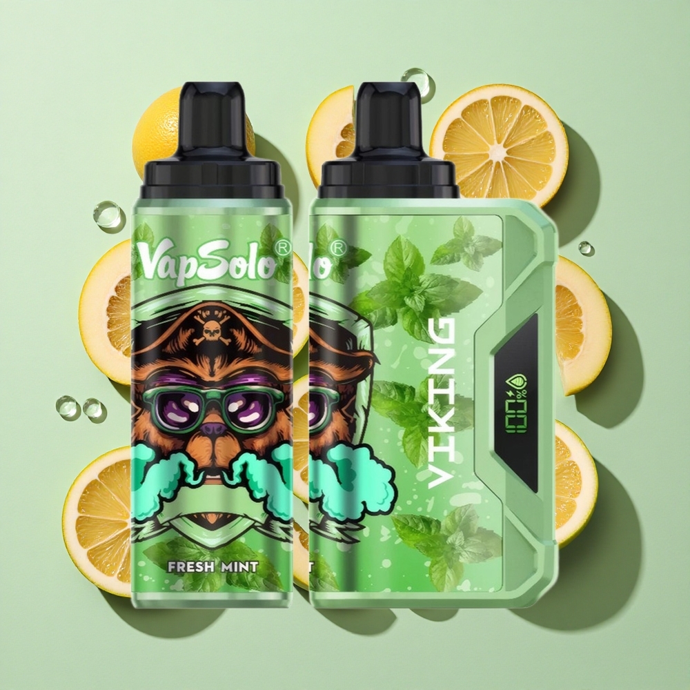 VapSolo VIKING 12000 Puffs Engangs Vape Frisk Mynte engros Norge Type-C & LED-skjerm