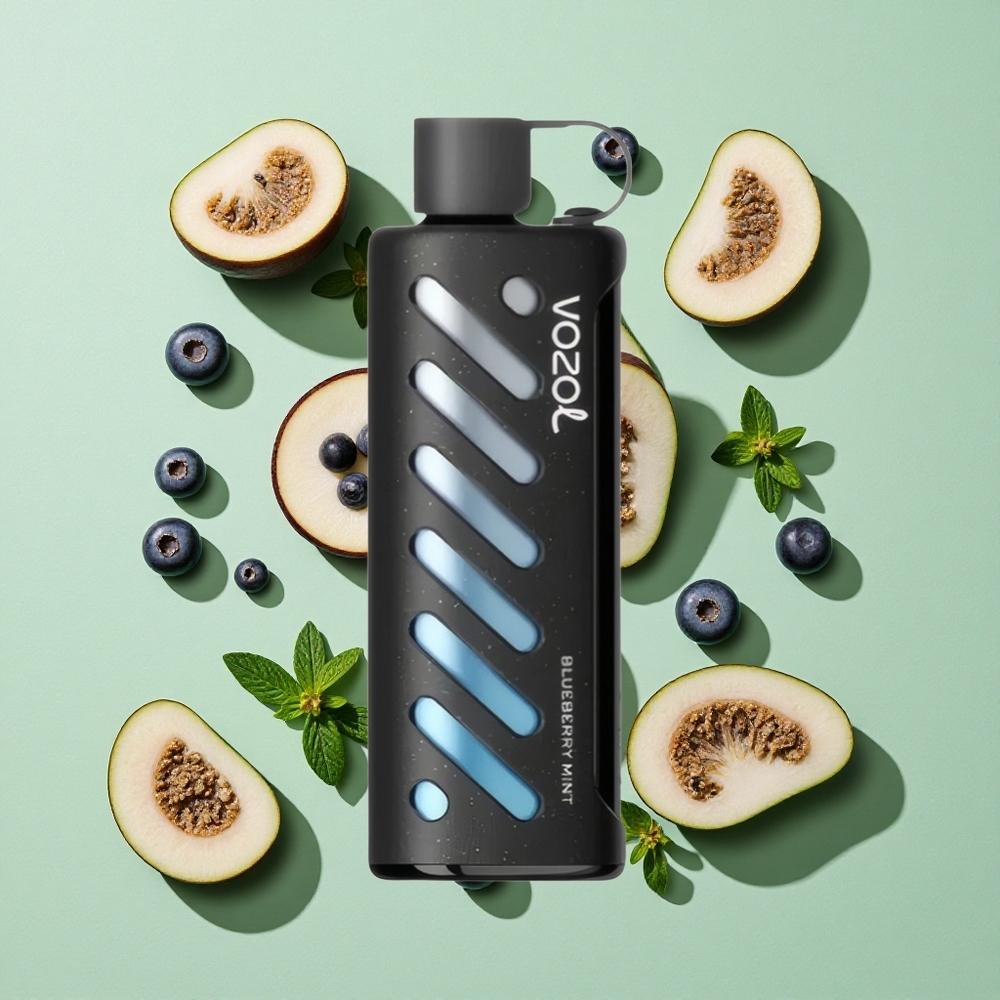 VOZOL Gear Shisha 25000 Puffs Blåbær Mynte engros Norge S.i.L.C Tech 1000mAh