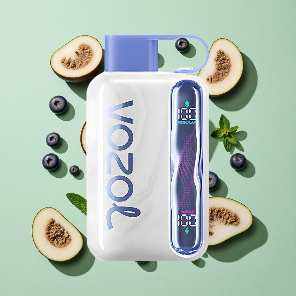 VOZOL STAR 40000 Puffs Blåbær Mynte engros Norge 1000mAh Type-C