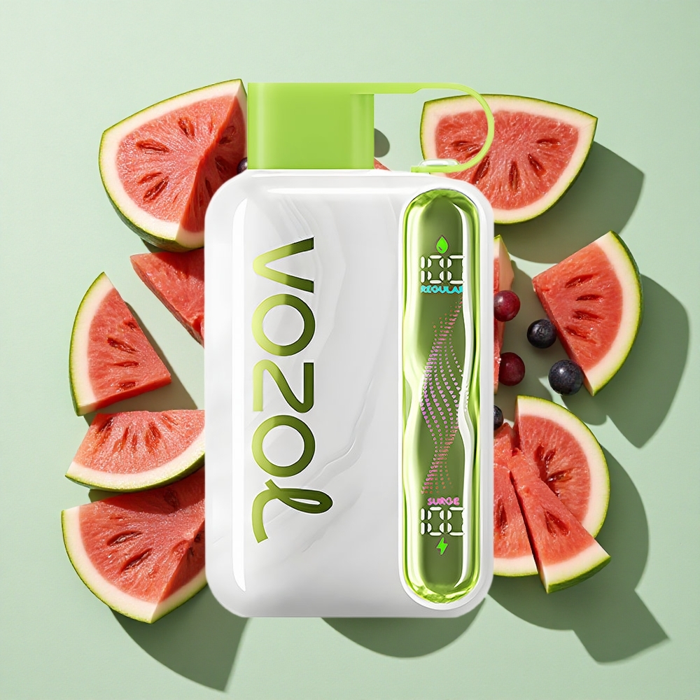 VOZOL STAR 40000 Puffs Vannmelon Drue Bøylebær Engangs Vape 1000mAh Type-C engros Norge