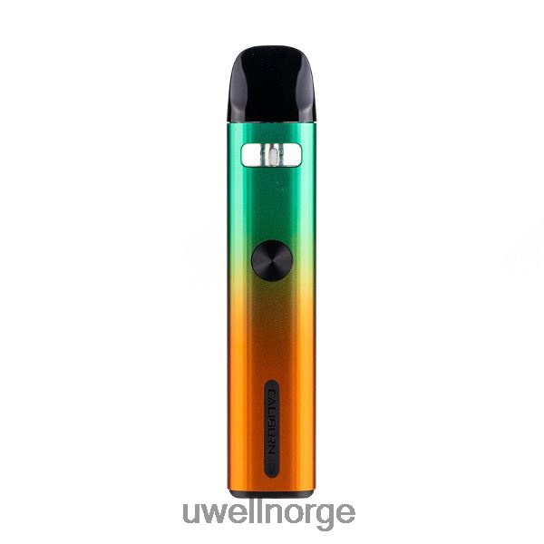 UWELL Disposable Vape - UWELL CALIBURN G2 pod kit | 18w D6204Z43 matt grå